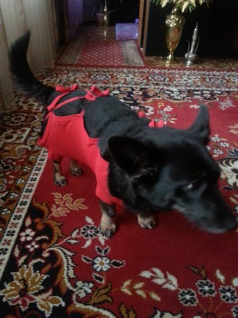 20160126_093655.jpg.8d41bc4bf5d451ce5bb6