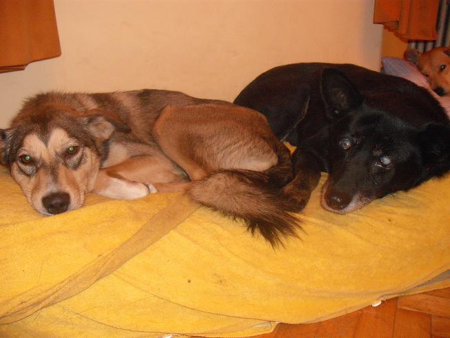 568d07703aa0e_1nadogo.jpg.c6f9fc3f96610d