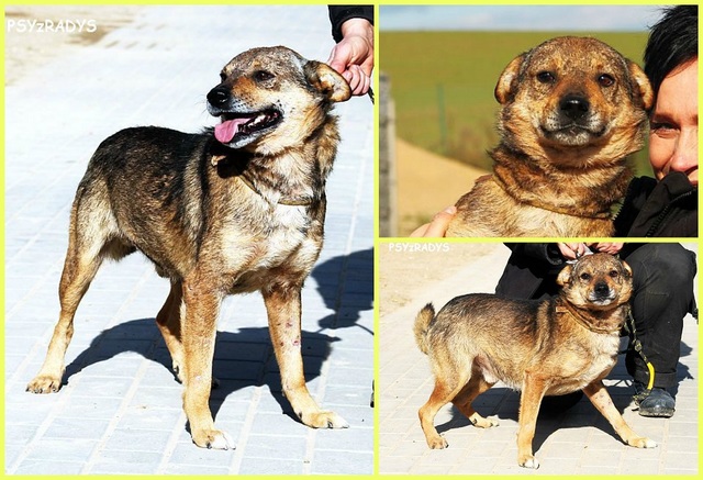 568d67499facd_jarzabek.jpg.fb4d41dcae275