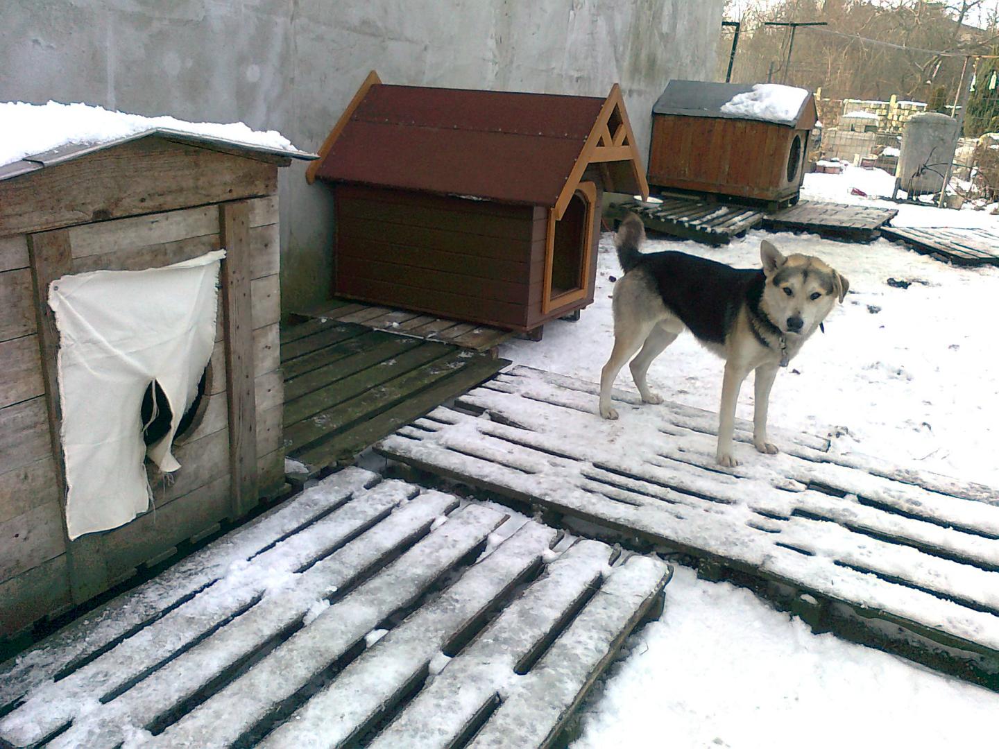 56921f44537ca_Zdjcie3226.thumb.jpg.5302a