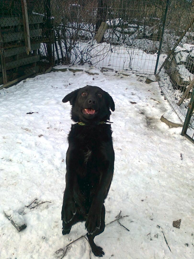 5692201f668ca_Zdjcie3246.thumb.jpg.8b75f