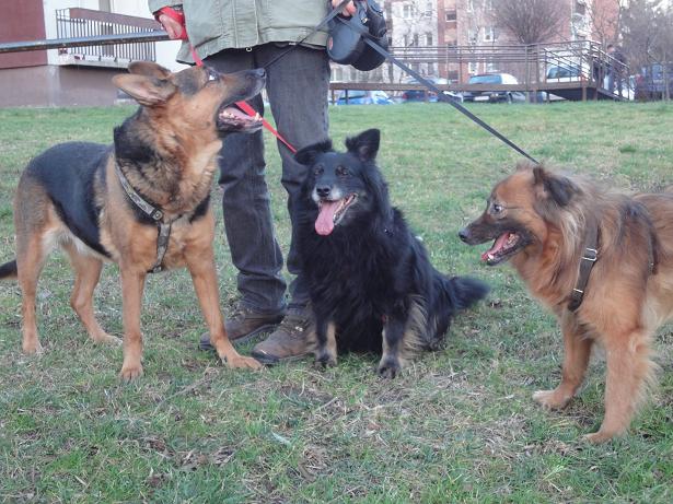 56961b823b793_1zmniejszone.jpg.da983b38e