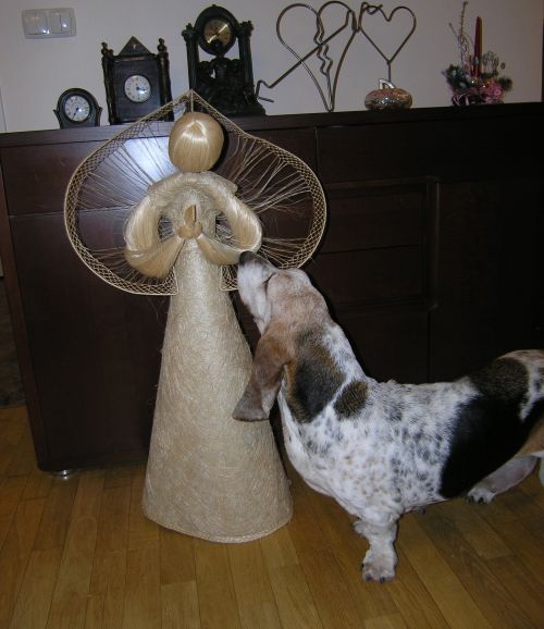 5696aff5d7157_1(2).JPG.2a0d4dfc5bc001da2