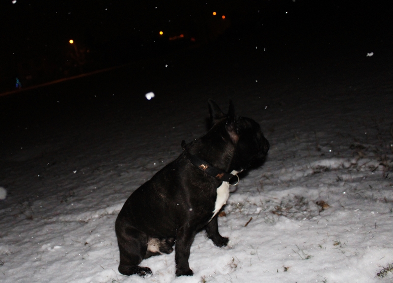 IMG_1454.JPG.abdd088228f484c59bb6ba3cac6