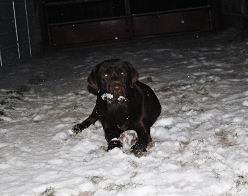 IMG_1490.JPG.fddd83591645fa5fa0616e979a3