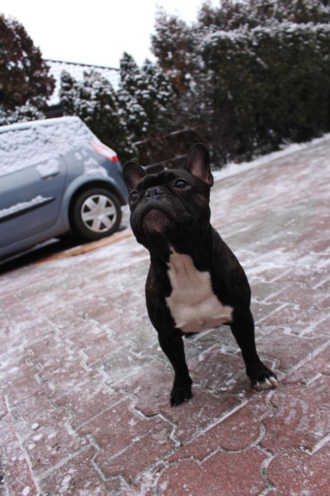 IMG_1518.thumb.JPG.491e8aedbbd39b1138568