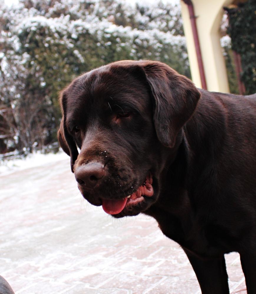 IMG_1526.thumb.JPG.7d7e51c5e935481d34242