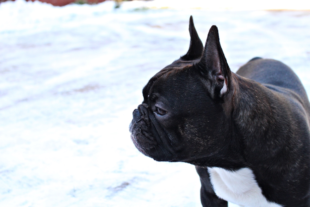 IMG_1992.JPG.0950b63d7234186e6f601204e1f