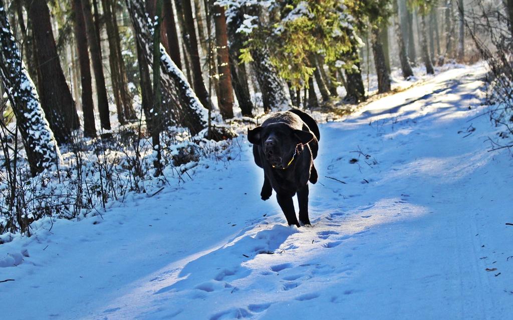 IMG_2044.thumb.JPG.0f5852041b92788289b16