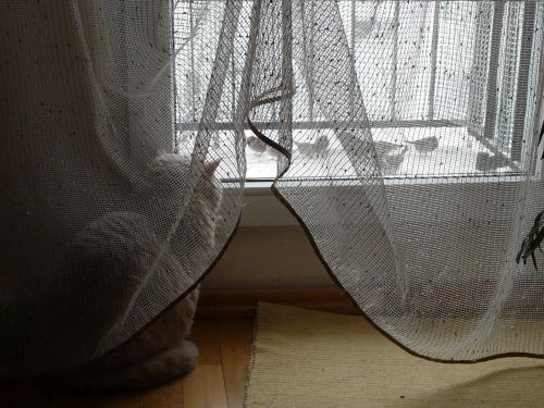 P1190998.jpg.7e77b79232aba0f6d52b3a946ed