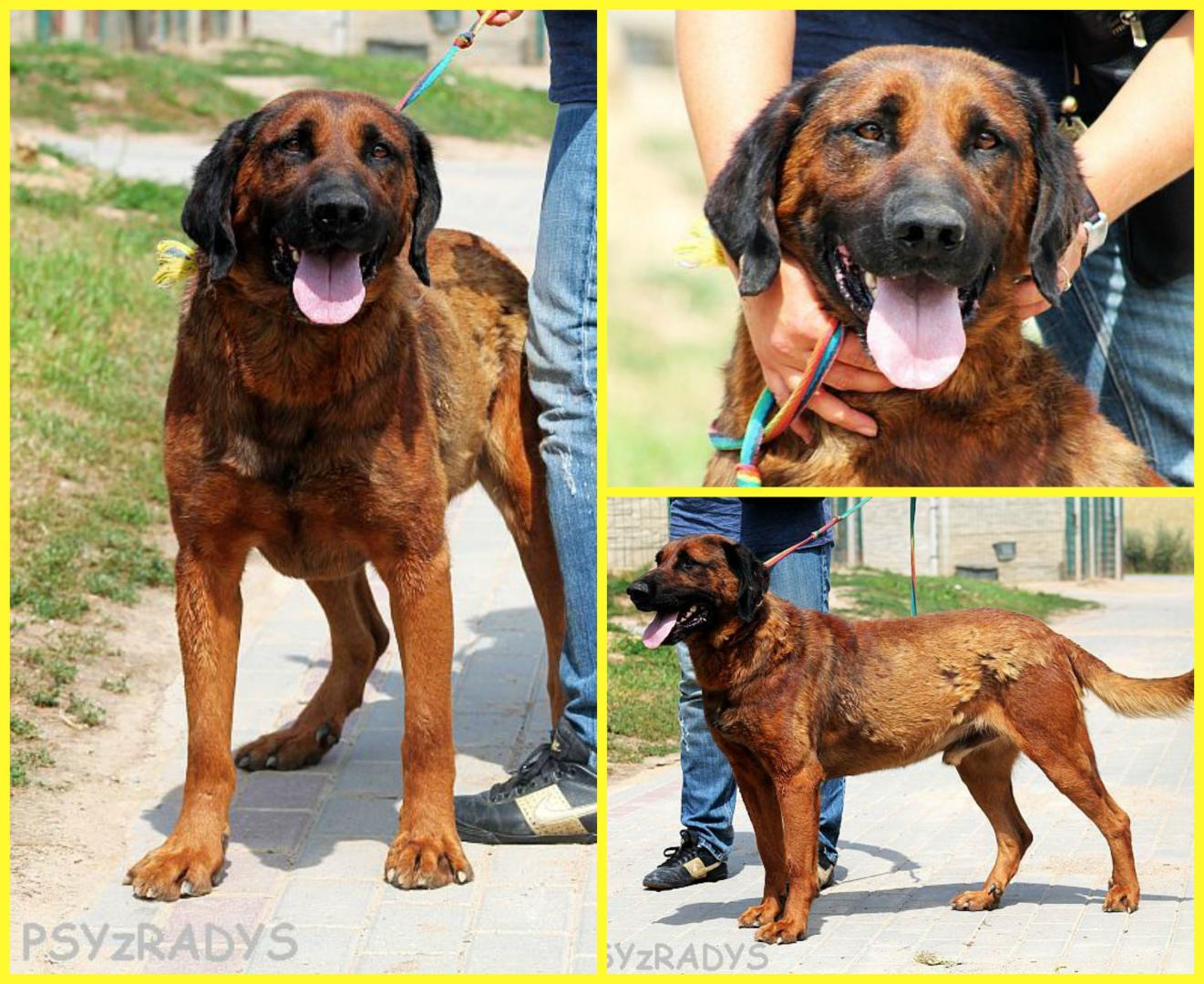 awatar.thumb.jpg.9370e84fa178047a9b291d5