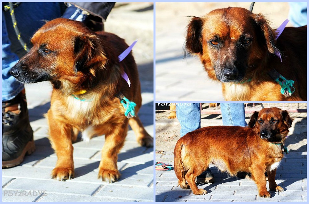 bilans.jpg.648cb84fb53612475c98a81babedd