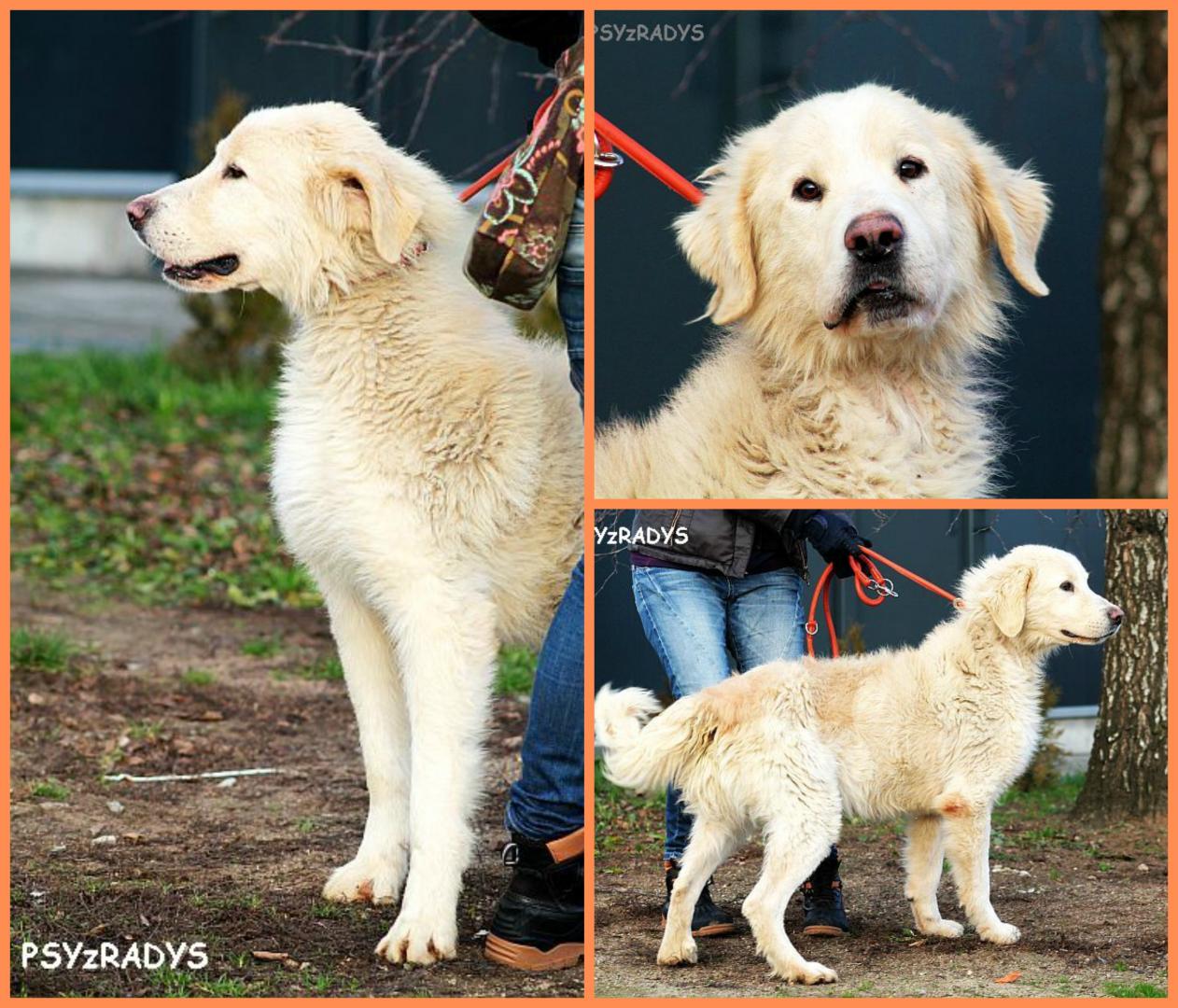 bonus.thumb.jpg.9ee8bb39e1e34a5c4abd94af