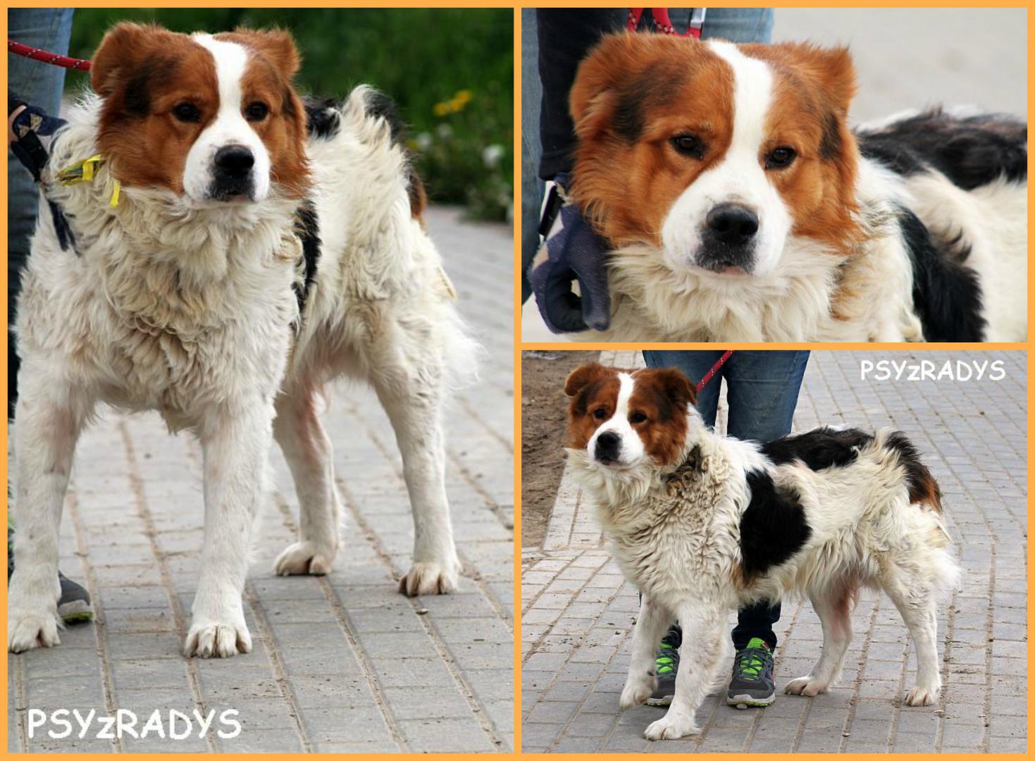 marlon.thumb.jpg.59879c80ec6ff043cd04f0d