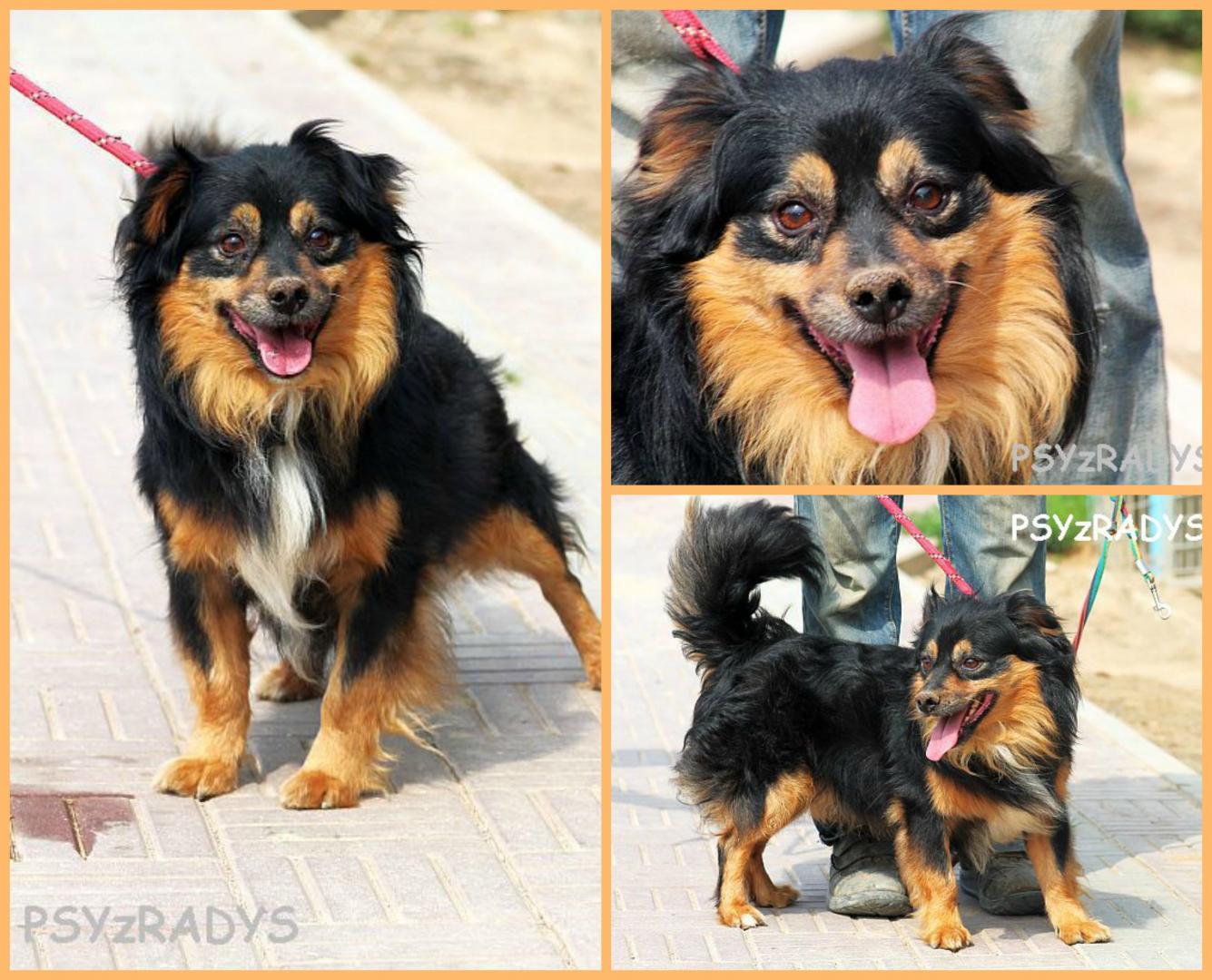 mazurek.thumb.jpg.4048a772df66a0667d1b0d