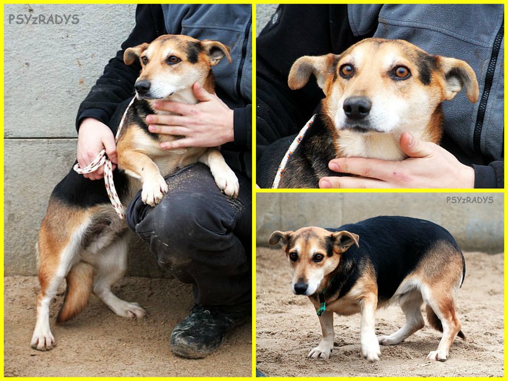 pistacja.jpg.7c6fbca187d4ca1fa57045bb693