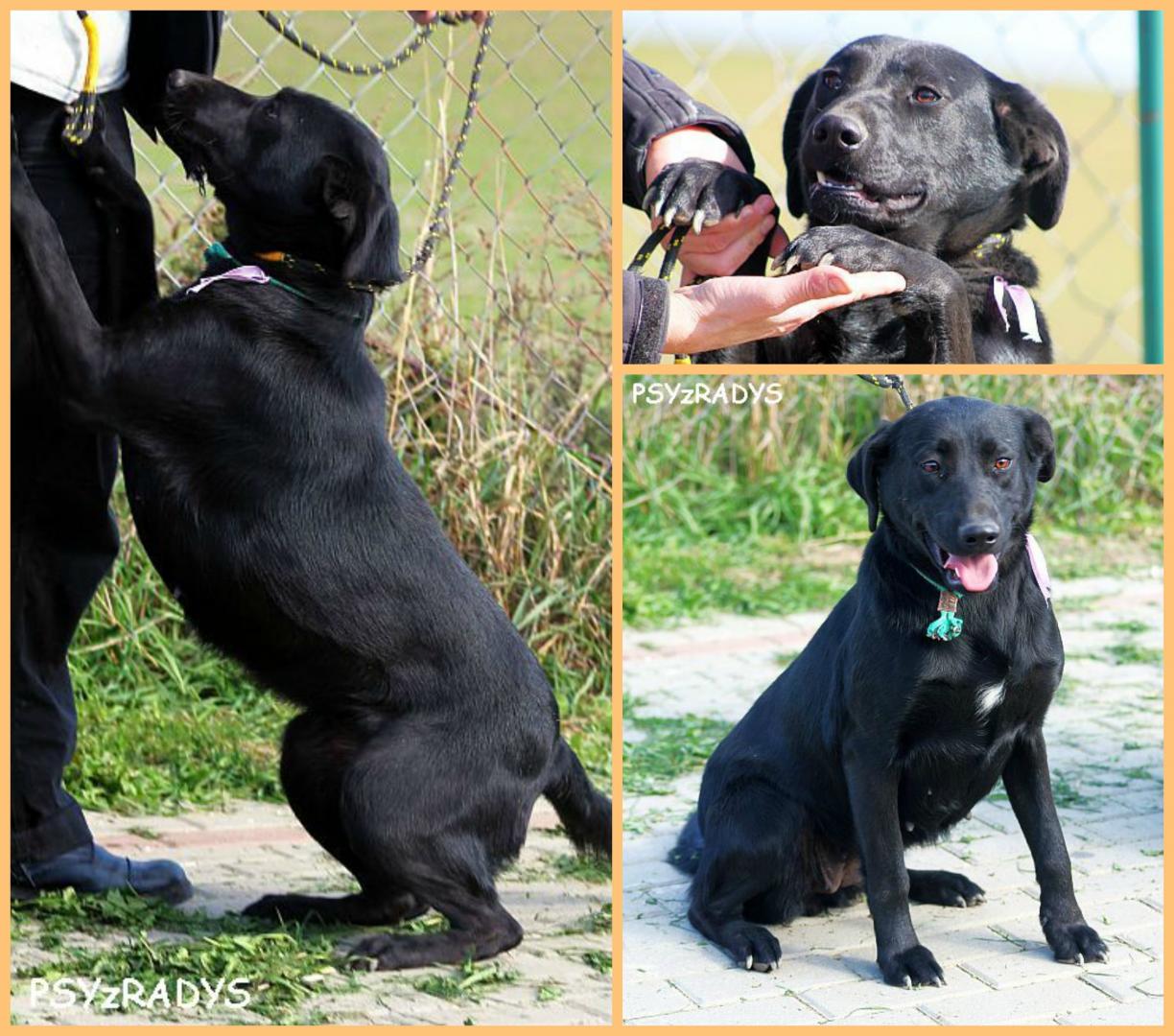 sadza.thumb.jpg.b062be8c62062fc5273dd3c2