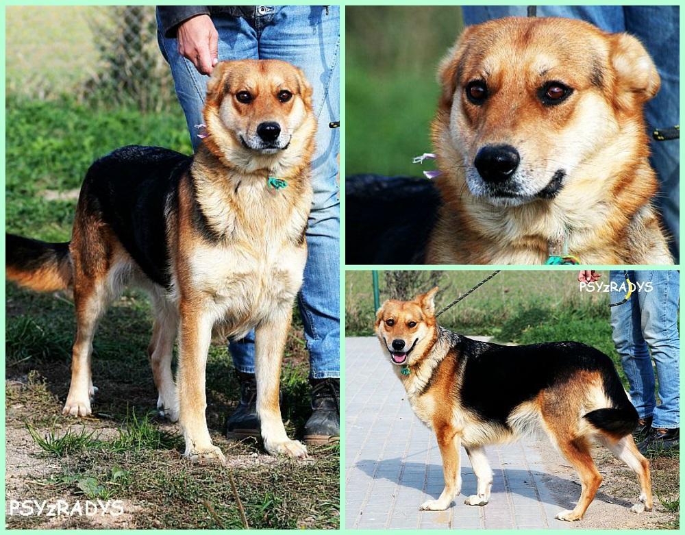 uta.thumb.jpg.0f7dc9816341a17b588ff1d011