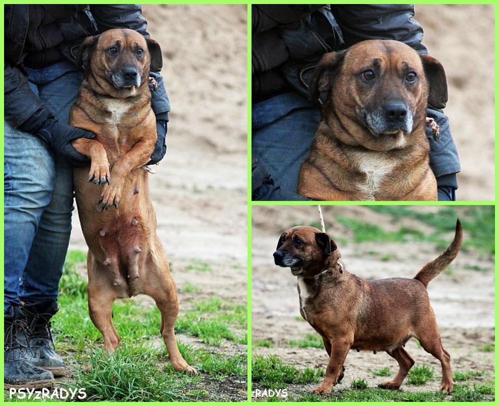 zdrapka.thumb.jpg.4ee8fb2b0c4b42de1f74e0