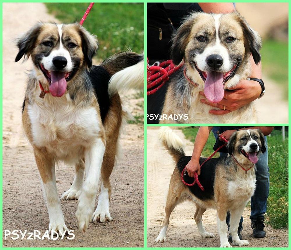 zoja.thumb.jpg.86c8559499544a1ae00b45b65