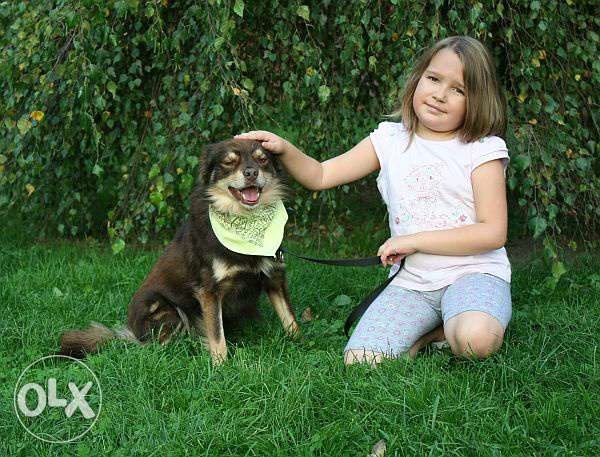 1.jpg.9301f108d72a96b3ae604571e8c33ebd.j