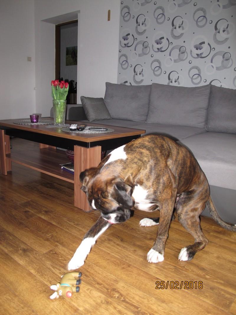 185.thumb.JPG.afb7c88931ade7384cb5eb7365