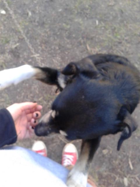 20160222_135337.jpg.76eca1319b34cc881dd7