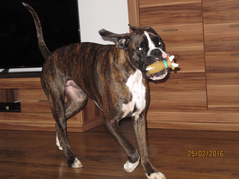 206.JPG.11bb6b983574a895138115d8dec38691