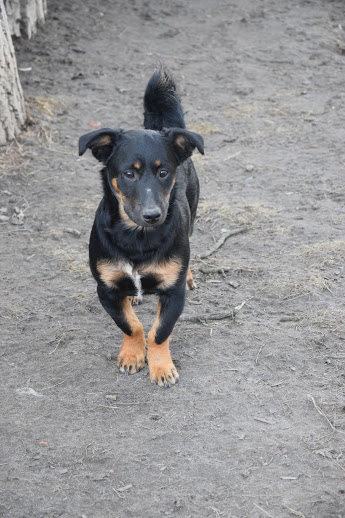 5.JPG.38ceb1ded362fd37237c6319fce9ded8.J