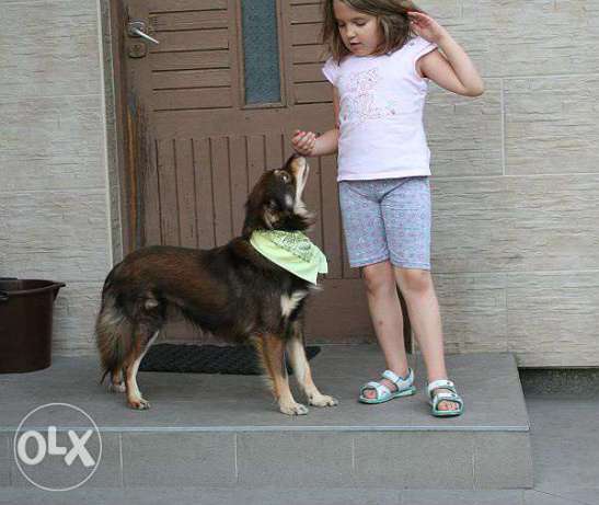 5.jpg.83bee26f4d6b2f5fbd8bcea1ad679cd5.j