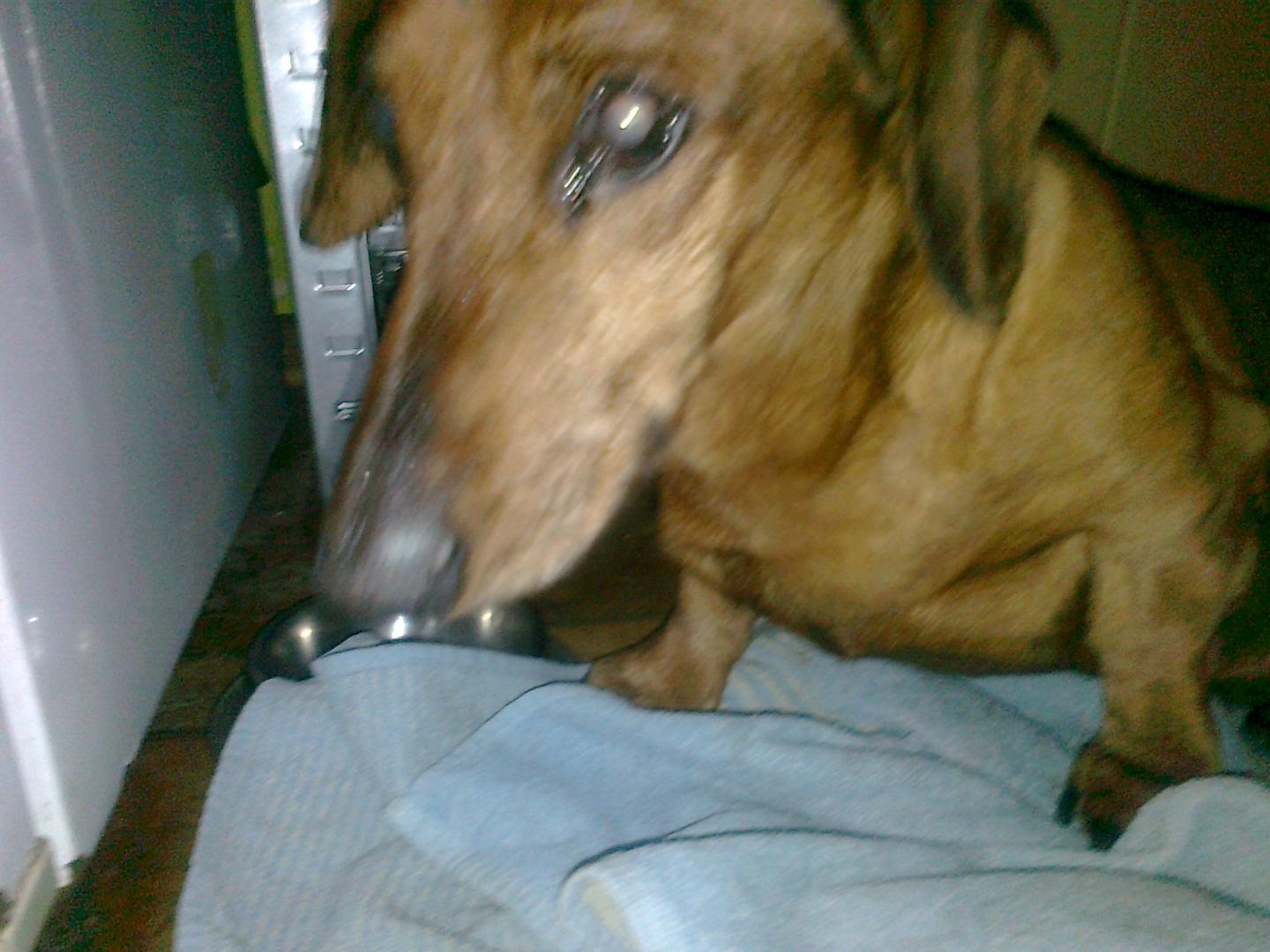 56b62d10e2a79_Zdjcie3397.thumb.jpg.bdeba