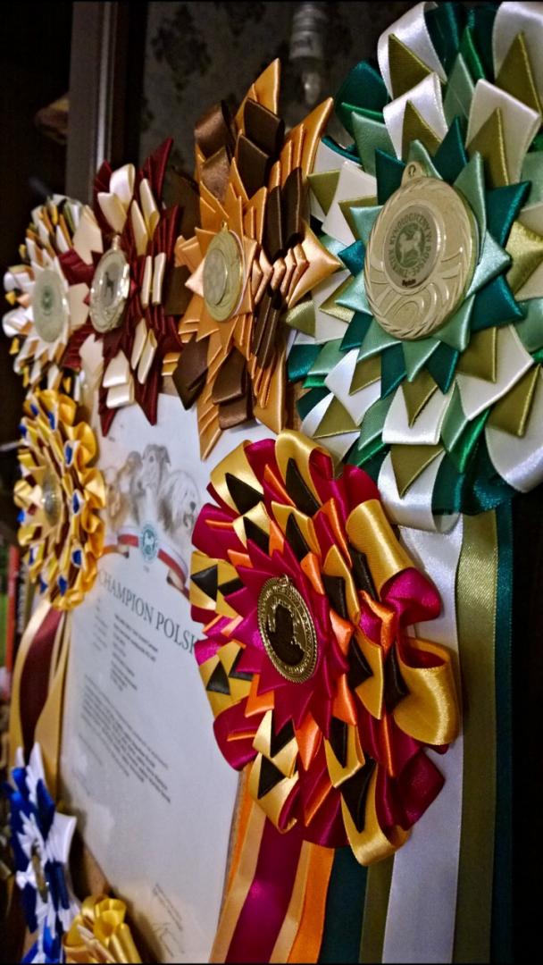 WP_20160215_15_26_19_Pro (2).jpg