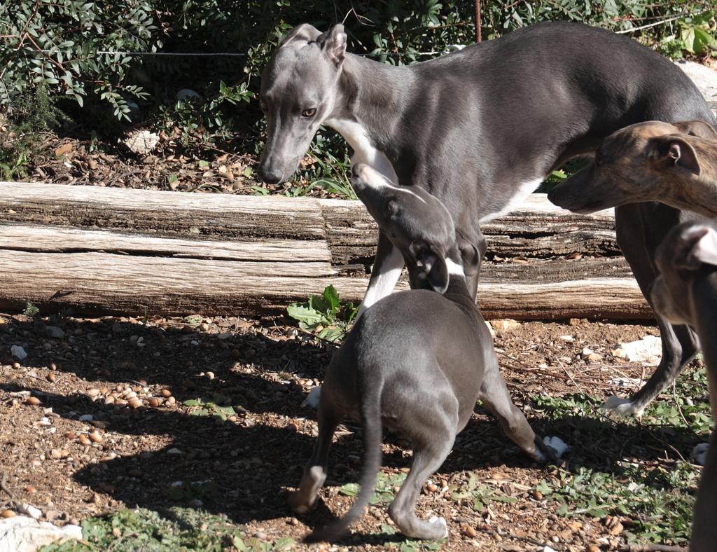 IMG_8665 (FILEminimizer).JPG