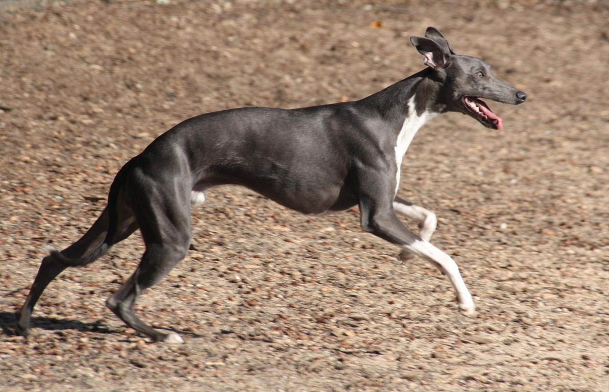 IMG_8693 (FILEminimizer).JPG