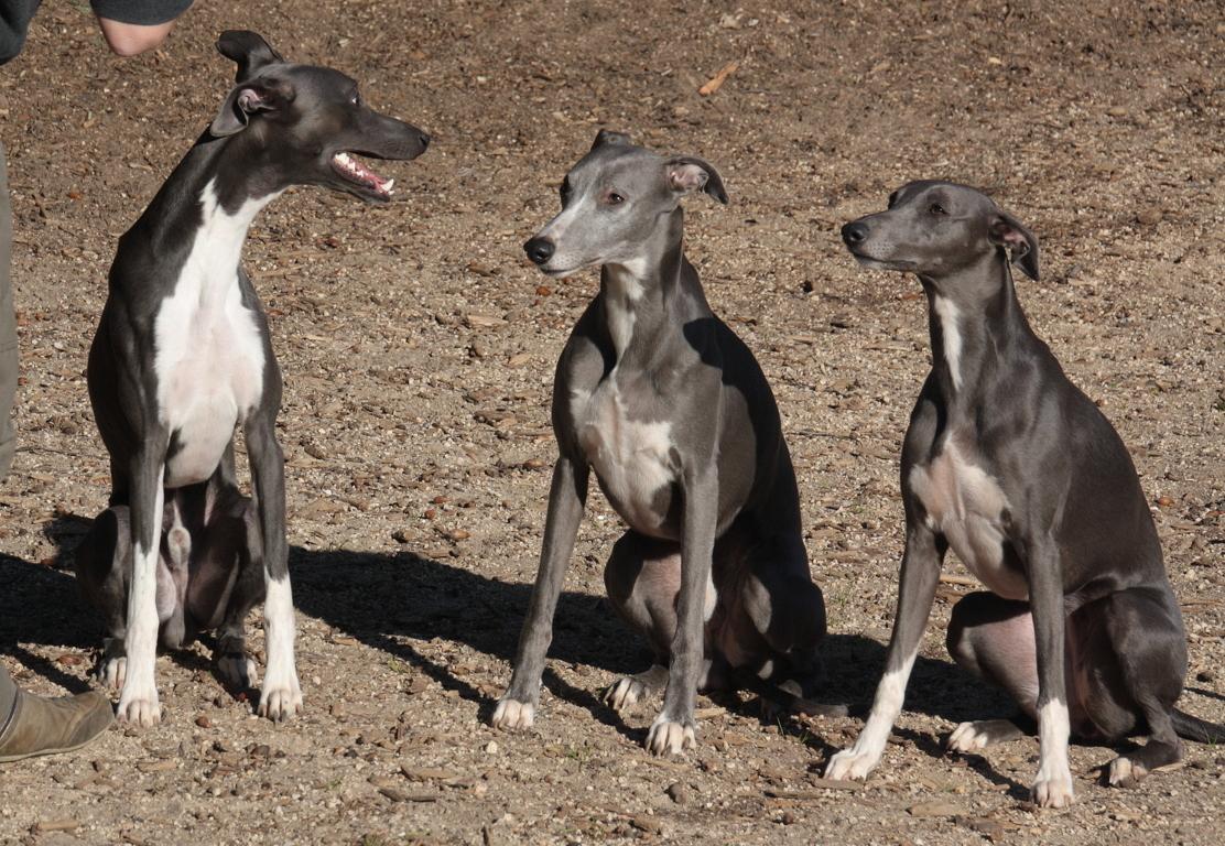 IMG_8706 (FILEminimizer).JPG