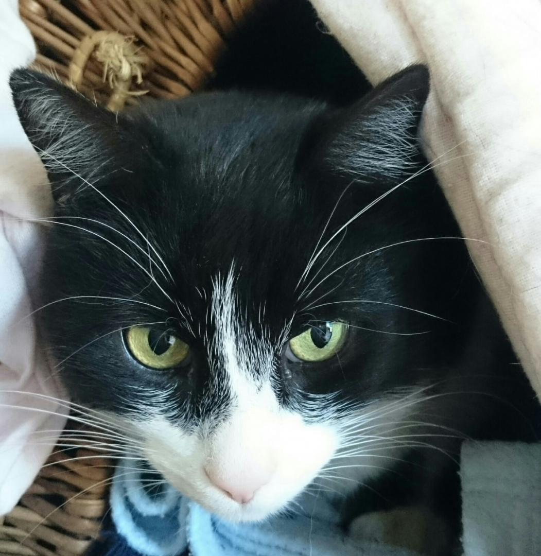 56d3261c6998f_2016-02-2817.51.42.thumb.j