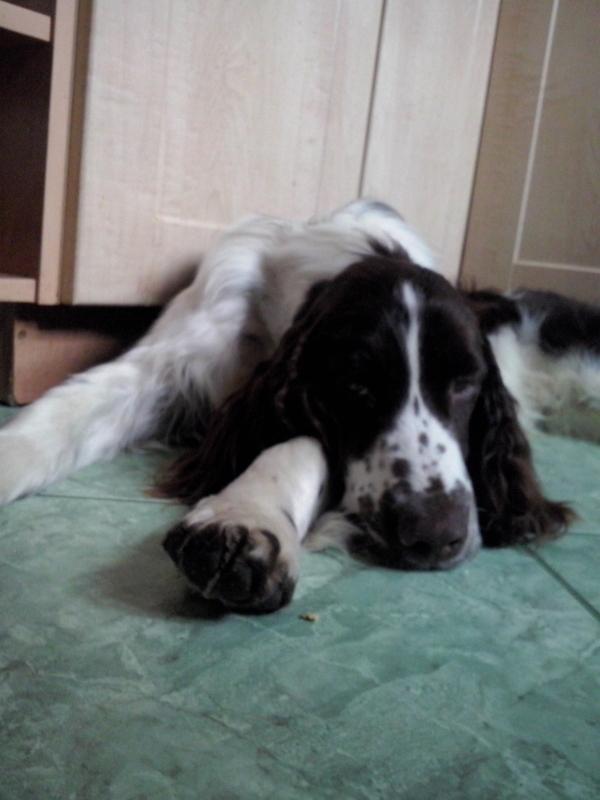 CAM00120.thumb.jpg.cc72a93028beafe45f55b