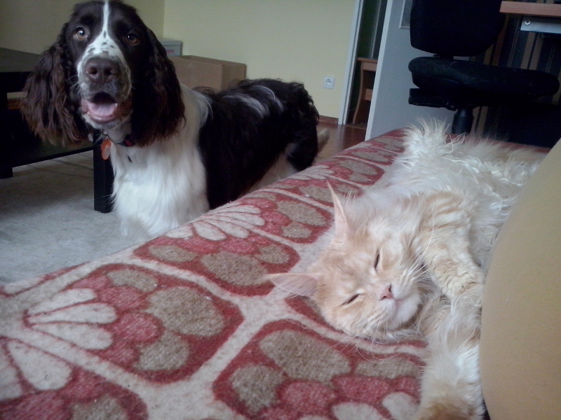 CAM00155.jpg.62a47461018aa3237c934636435