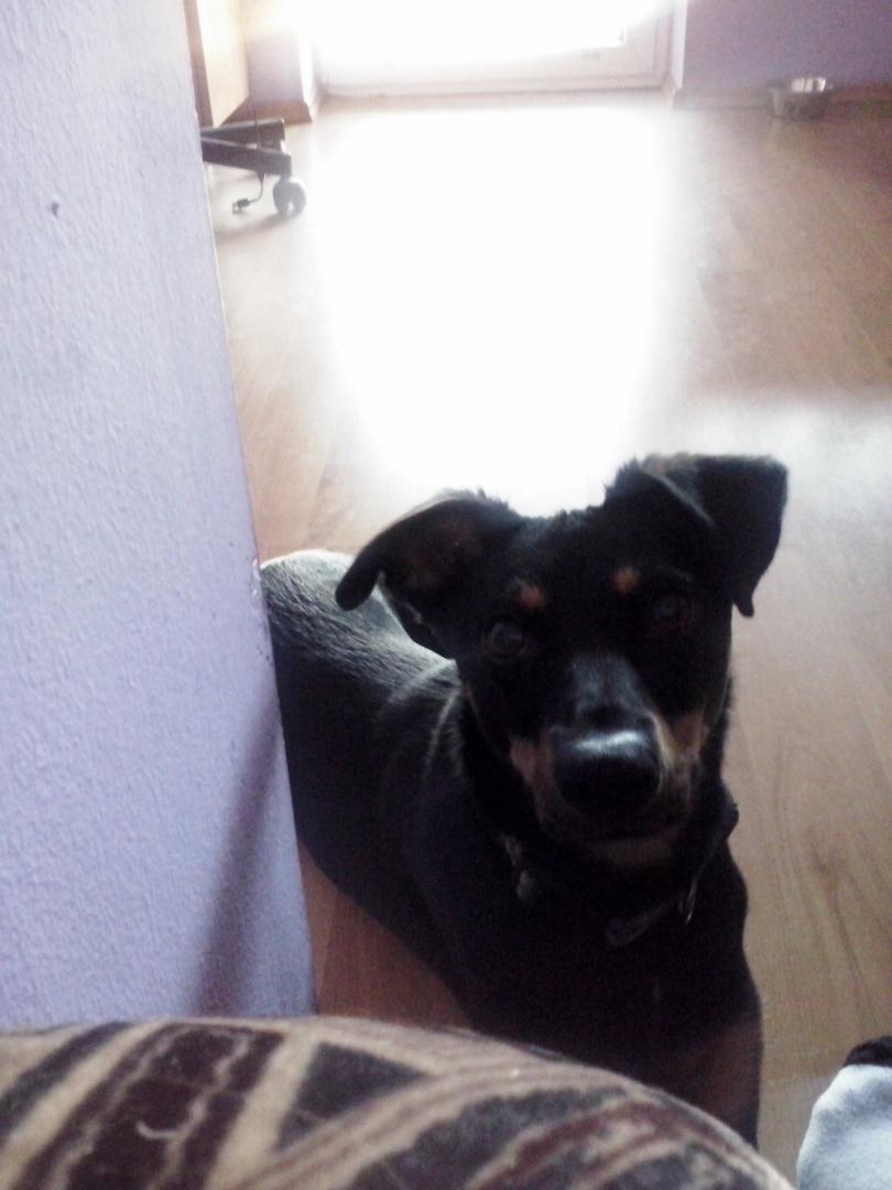 CAM06737.thumb.jpg.bc12415ce799993095bf1