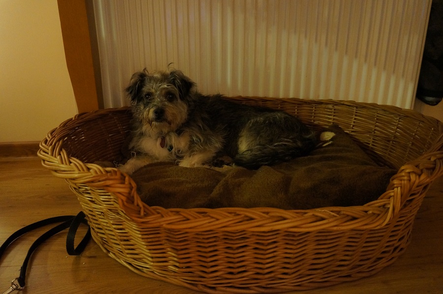 DSC09425.JPG.82d5f460b41fc072f2305b73a3d