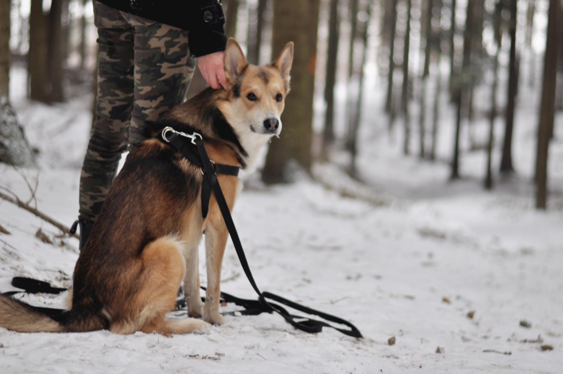 DSC_1513.thumb.JPG.f77e596e51a83a0dbae67