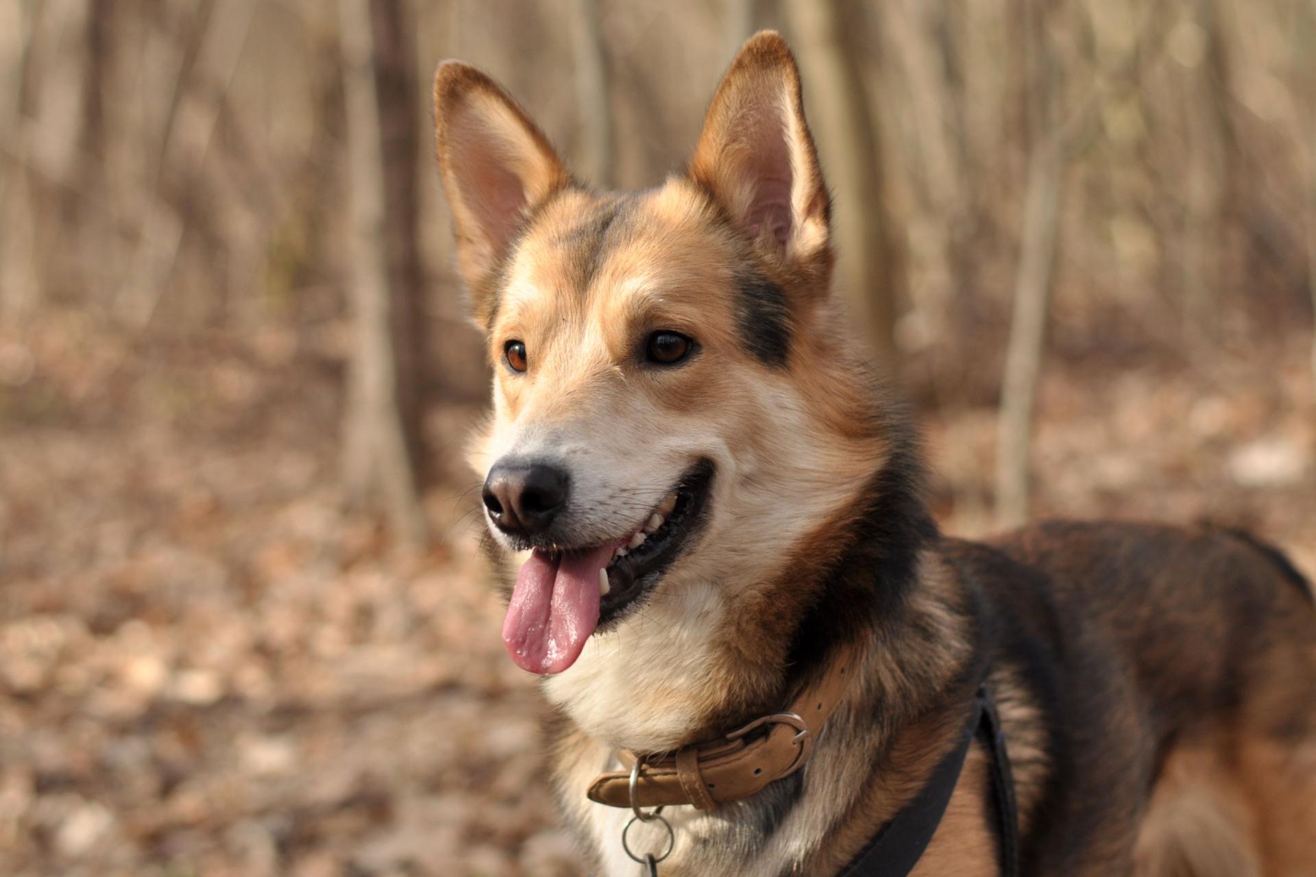 DSC_1832.thumb.JPG.01a69c5a8e2433e103b7d