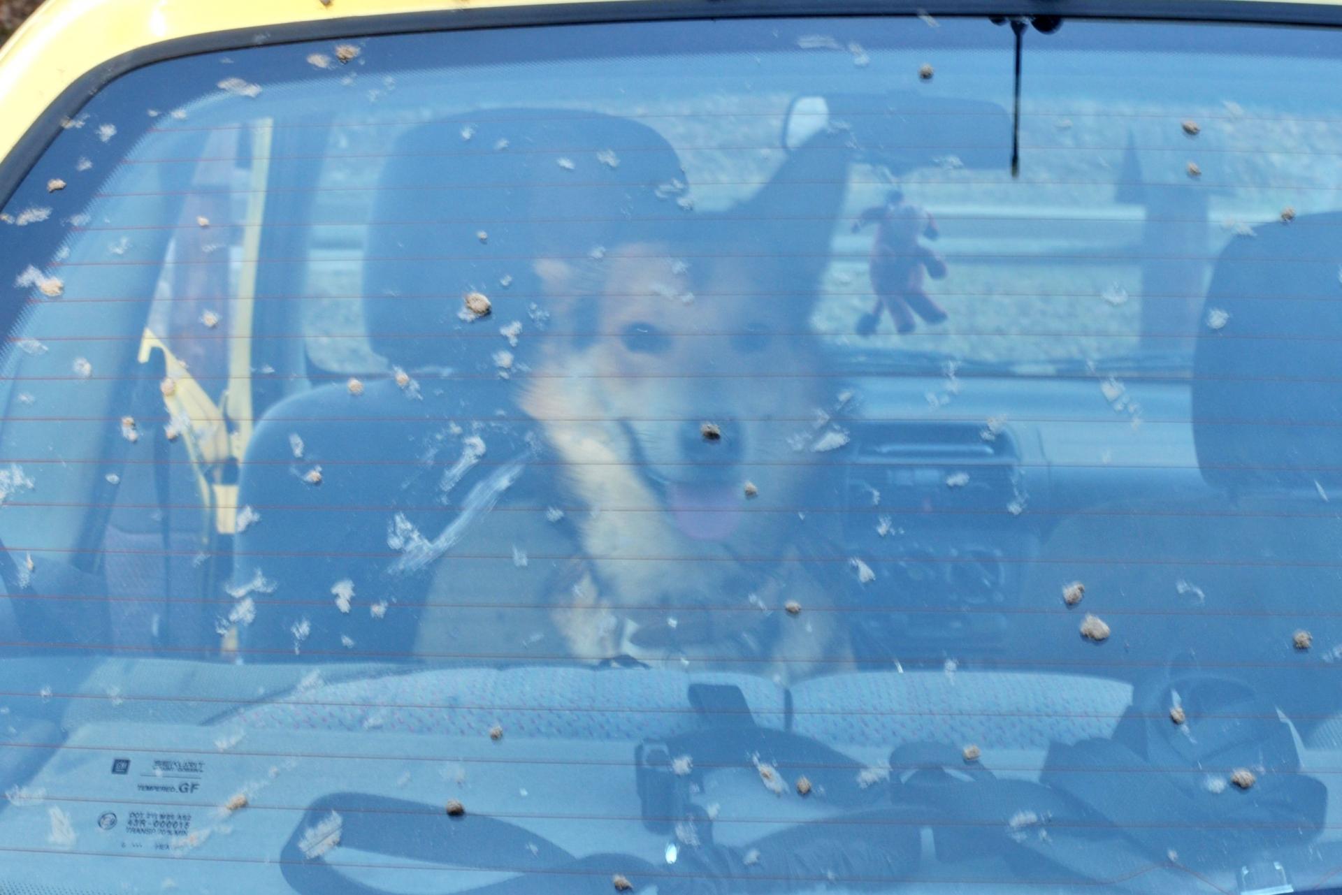 DSC_1888.thumb.JPG.2df2f722fda548393b867