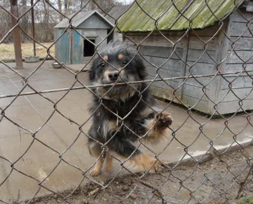 P1200170.JPG.c06580576d420f763895a498c1d