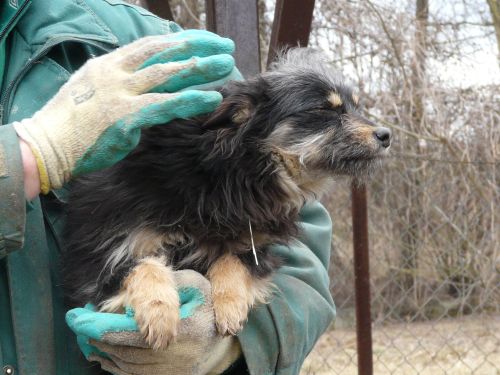 P1200182.JPG.c171be1f62cd0cecfbf919aa710