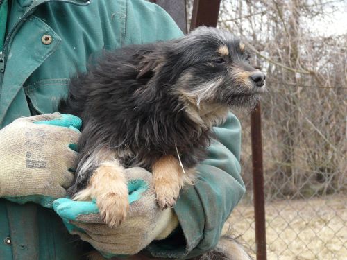 P1200183.JPG.35dc1cb46e0d1b504d08bf0b7e1