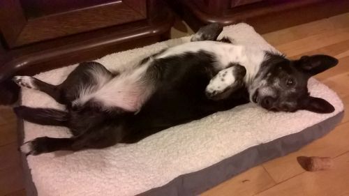 V__6D30.jpg.797f264df0acf6bc63e2dd448ca0