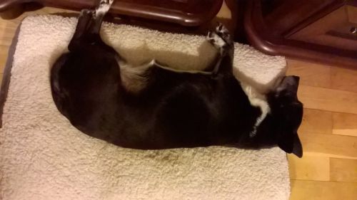 WP_20160125_21_49_14_Pro.jpg.feab60a2c9b