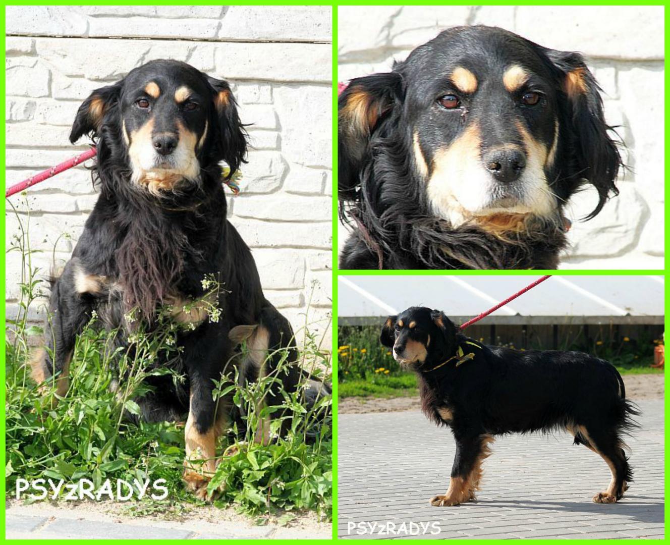 santa.thumb.jpg.58cd5f8aa11e294ab9585ade