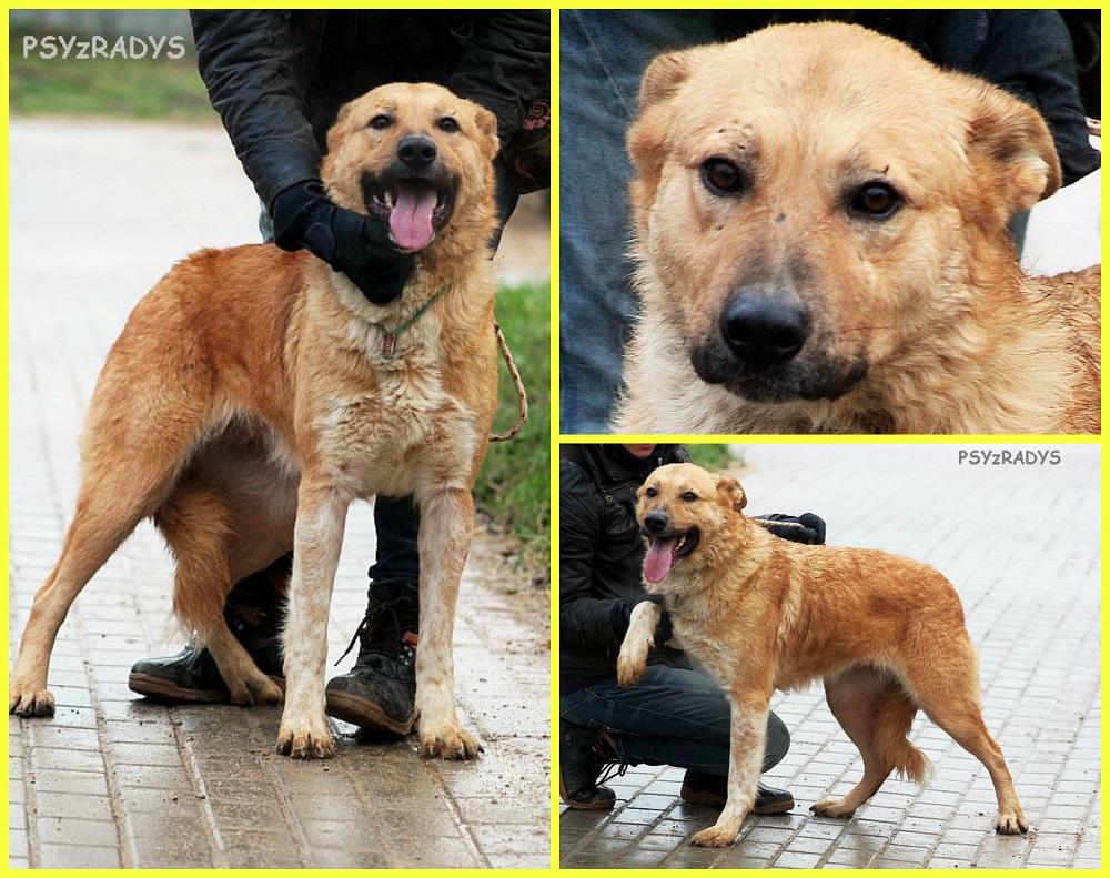 sepia.thumb.jpg.1da2f34dc822965102b637e0